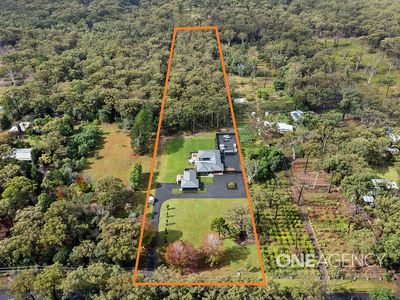 11 Pritchard Avenue, Woollamia