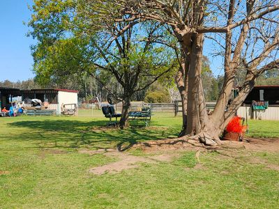 115 Deepfields Road, Catherine Field