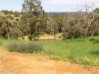 860 Campersic Road, Brigadoon