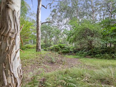 62 Shane Lane, Tolmie