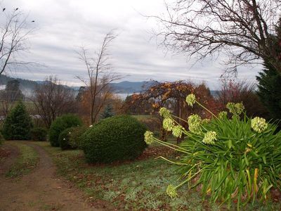 269 Braeside Road, Franklin