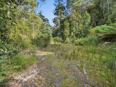 111 Underwoods Road, Nicholls Rivulet