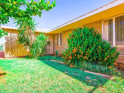 20 Bottlebrush Crescent, South Hedland
