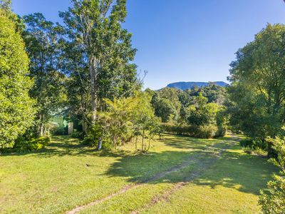 95 ANDERSON ROAD, Nimbin