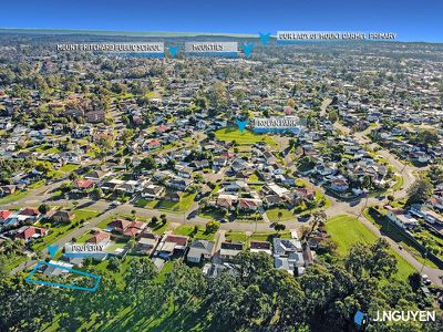 8 Dadswell Place, Mount Pritchard