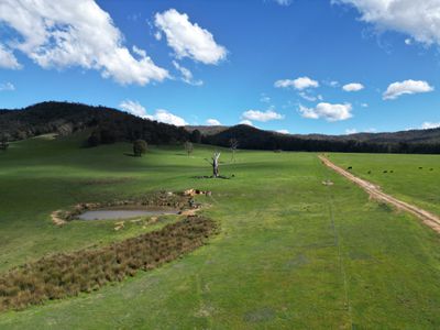 'Eastmore' 1177 Callaghan Creek Road, Mitta Mitta