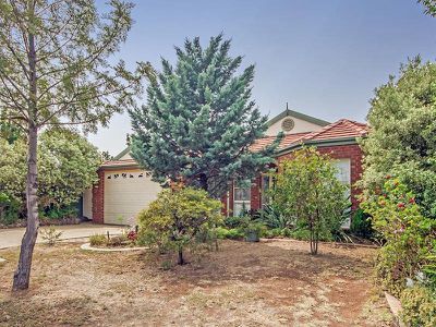 14 Oaktree Avenue, Wyndham Vale