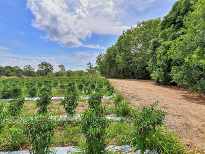 600 Mocatto Road, Acacia Hills