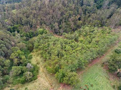 Lot 177 Kirbys Road, Obi Obi