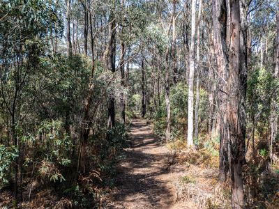 224 Edenvale Crescent, Kinglake West