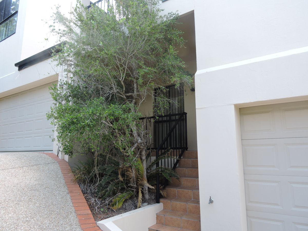 2 / 68 Armadale Street, St Lucia