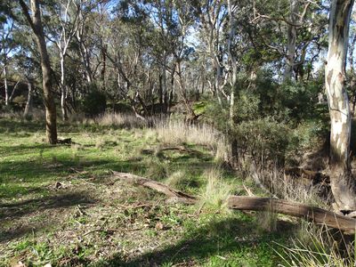 15 Moran Court, Graytown