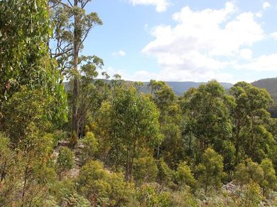 547 She Oak Road, Judbury