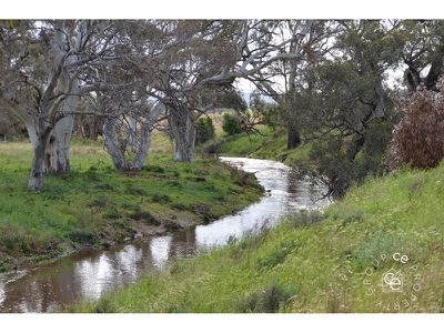 Angas Valley