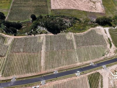 Lot 8 - POKOLBIN ESTATE, McDonalds Road, Pokolbin