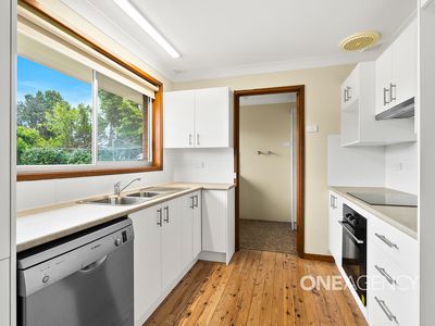 17 Fuchsia Crescent, Bomaderry