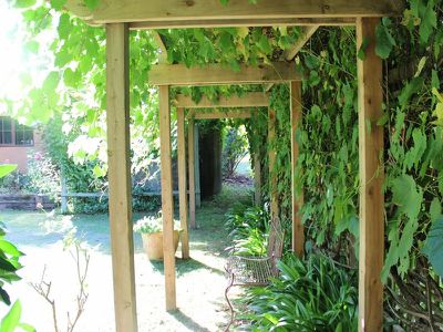 10 Nash Street, Jamieson