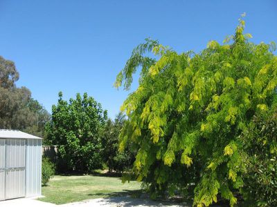 Tocumwal