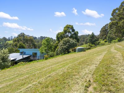 119 Sunday Hill Road, Petcheys Bay