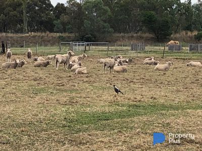 5 Whittakers Lane, Talbot