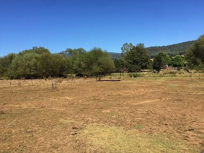 Running Springs - 447 Little Snowy Creek Rd, Eskdale