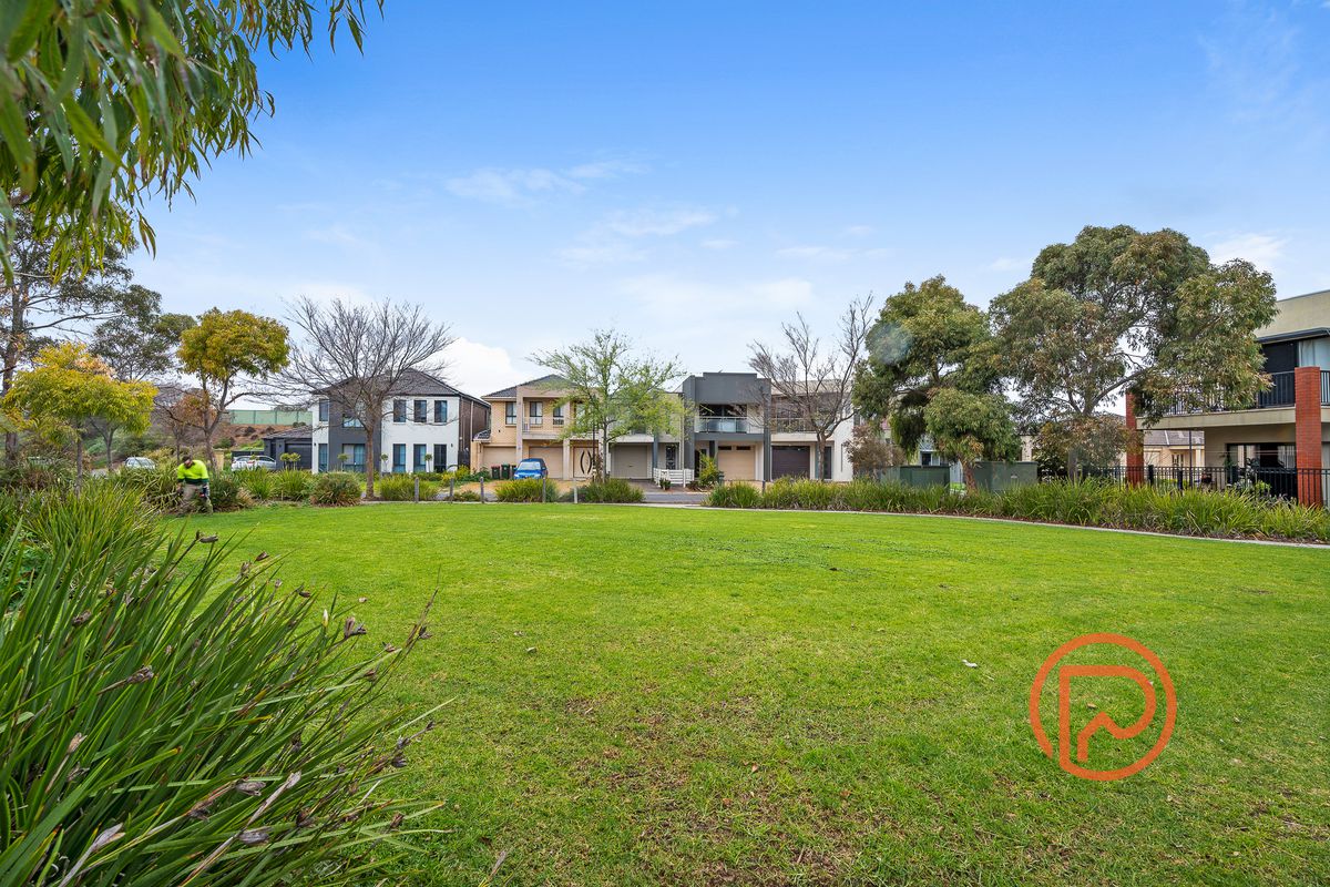 41 Macmillan Avenue, Mawson Lakes