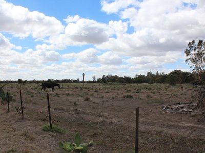 78 Murray Street, Barham