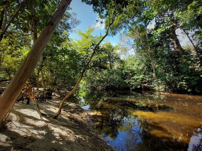 Lot 7 Mount Amos Road, Cooktown
