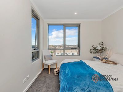 28 / 77 Gozzard Street, Gungahlin