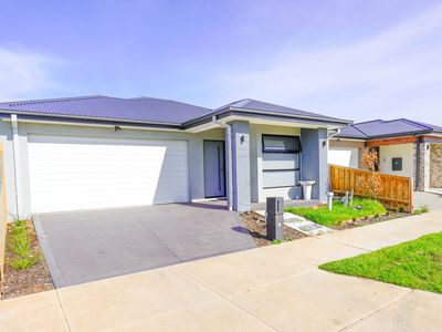 5 Asperula Street, Tarneit