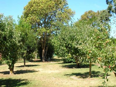 Lot 202 Evans Road, Glenburnie, Mount Gambier