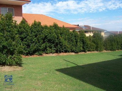 7 Sasha Street, Robertson