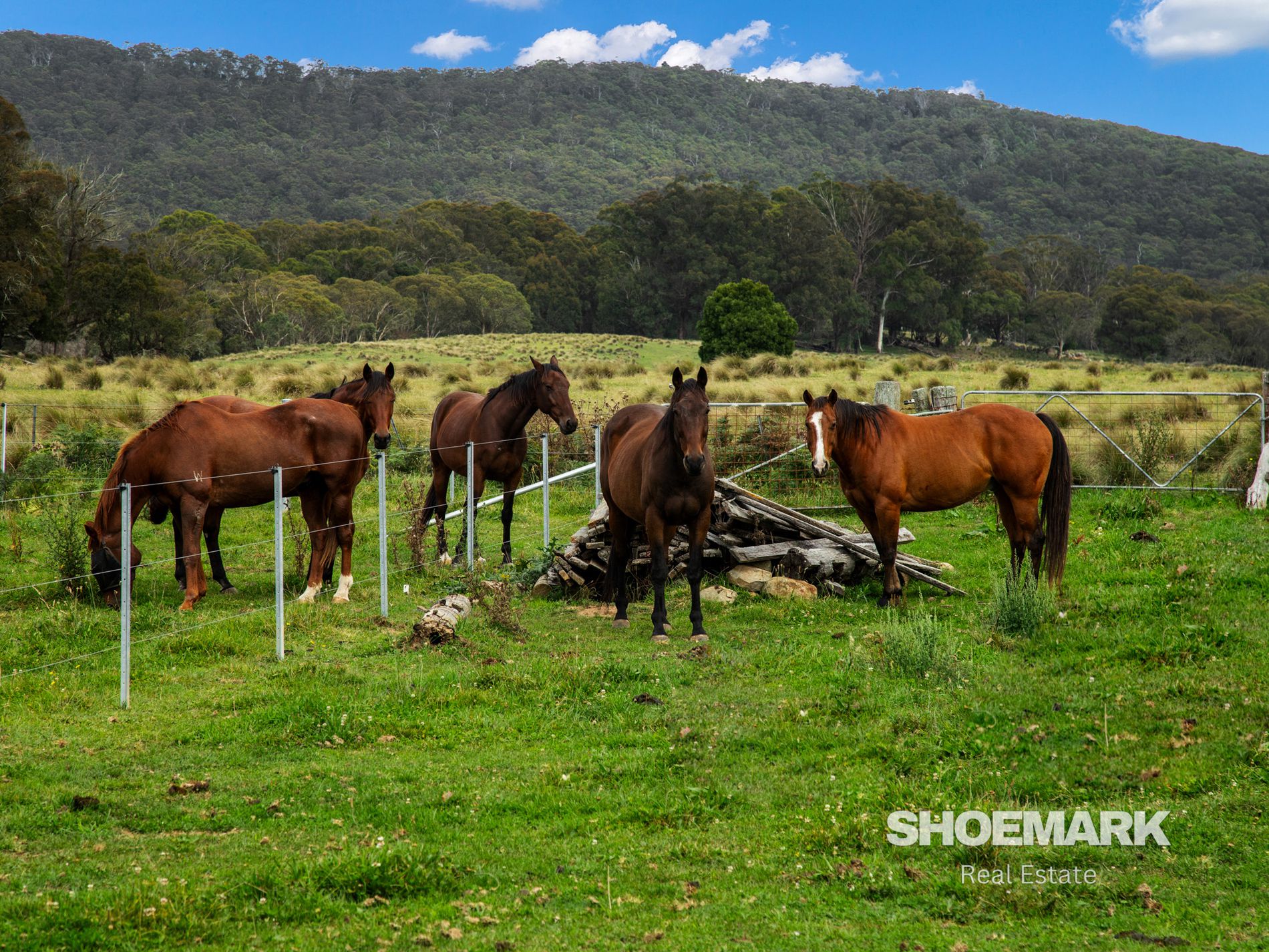 274 Mountain Creek Road, Braidwood