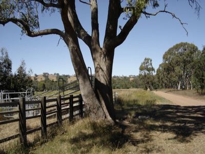 30 North Creek Road, Merton