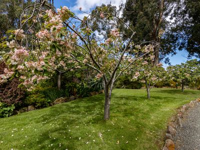 80 Chittys Road, Franklin