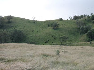 Rouchel Gap Road, Mccullys Gap