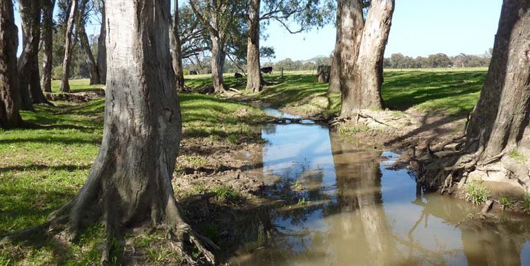 745 Balmattum North Road, Euroa