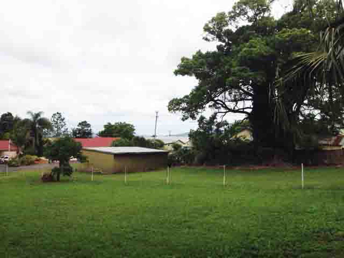 2 WATTLE STREET, Millaa Millaa
