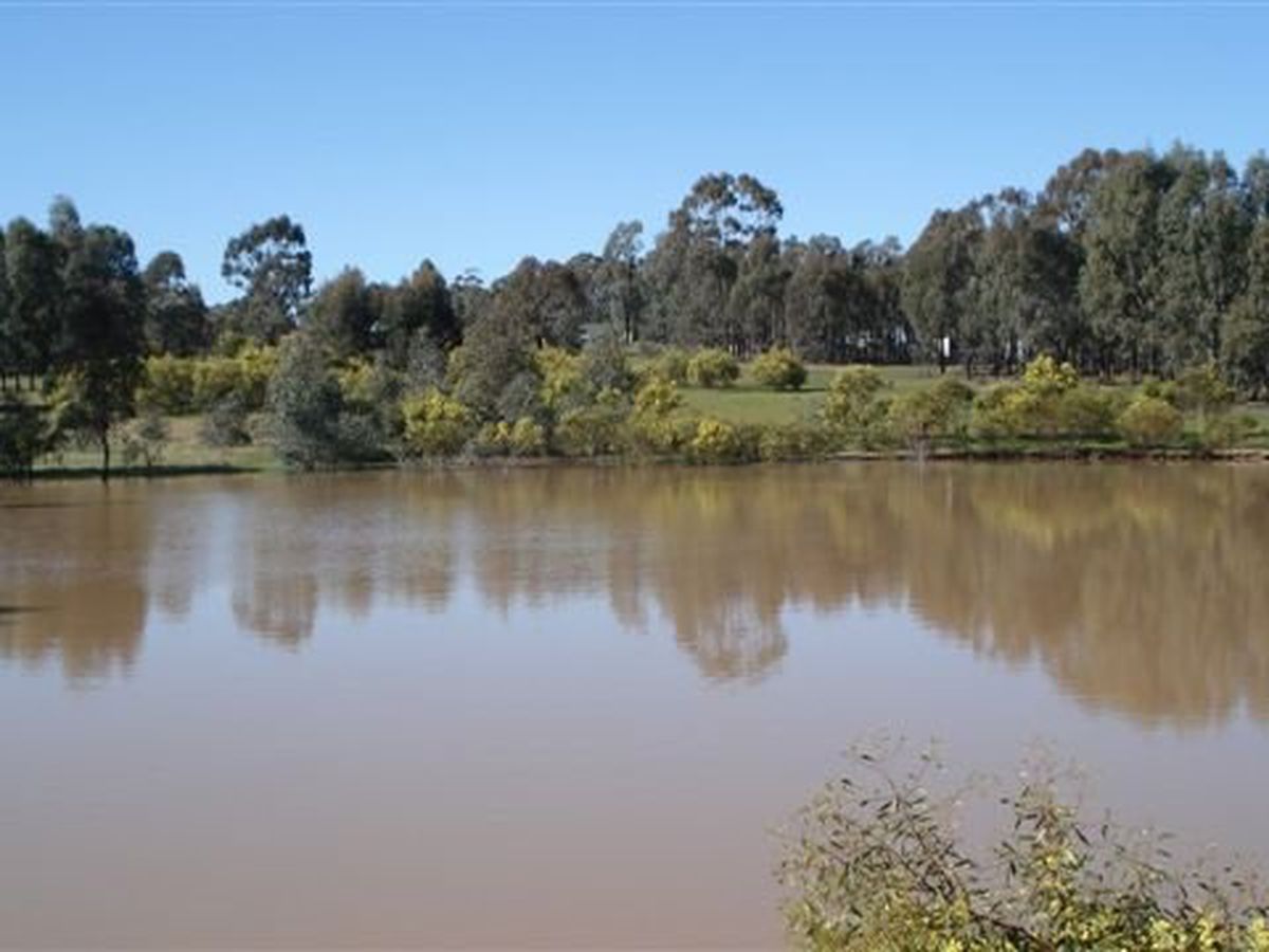 647 Sloans Road, Violet Town