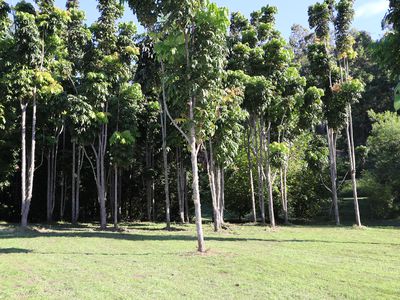 240 Stanger Road, Stony Chute