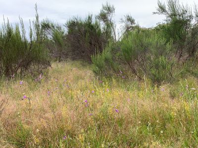 Lot 12 Heathcote-Nagambie Road, Moormbool West