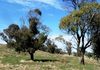 Lot 2, 660 Icely Road, Orange