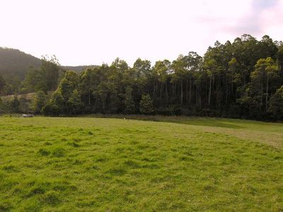 Sculthorpes Road, Nicholls Rivulet