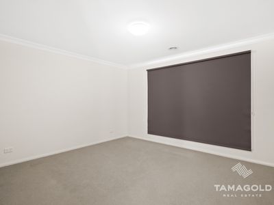 2 Cockatiel Street, Narre Warren