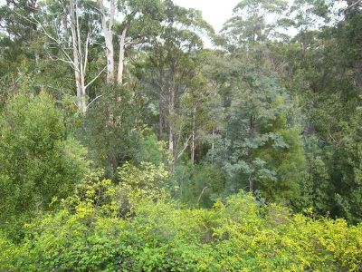 143 Jacksons Road, Franklin