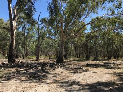 39 / Melacele Green Hills Lane, Barham