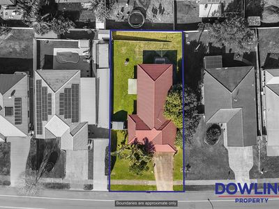 85 Kindlebark Drive, Medowie