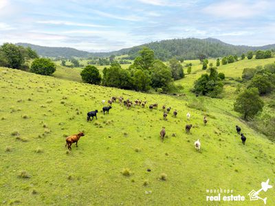 1024 Pappinbarra Road, Pappinbarra