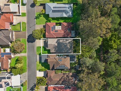 44 Appleyard Crescent , Coopers Plains