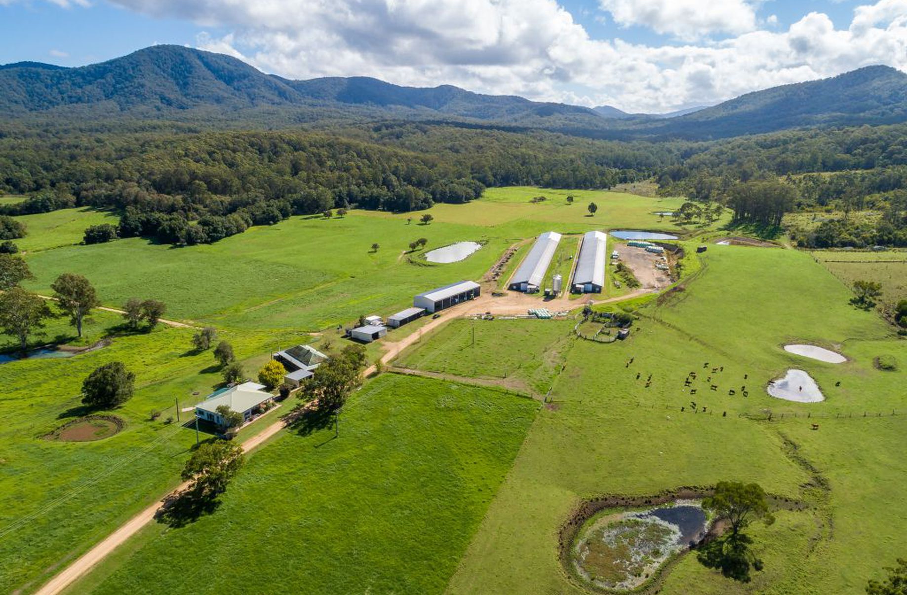 Booral Paul Pace Country (NSW)